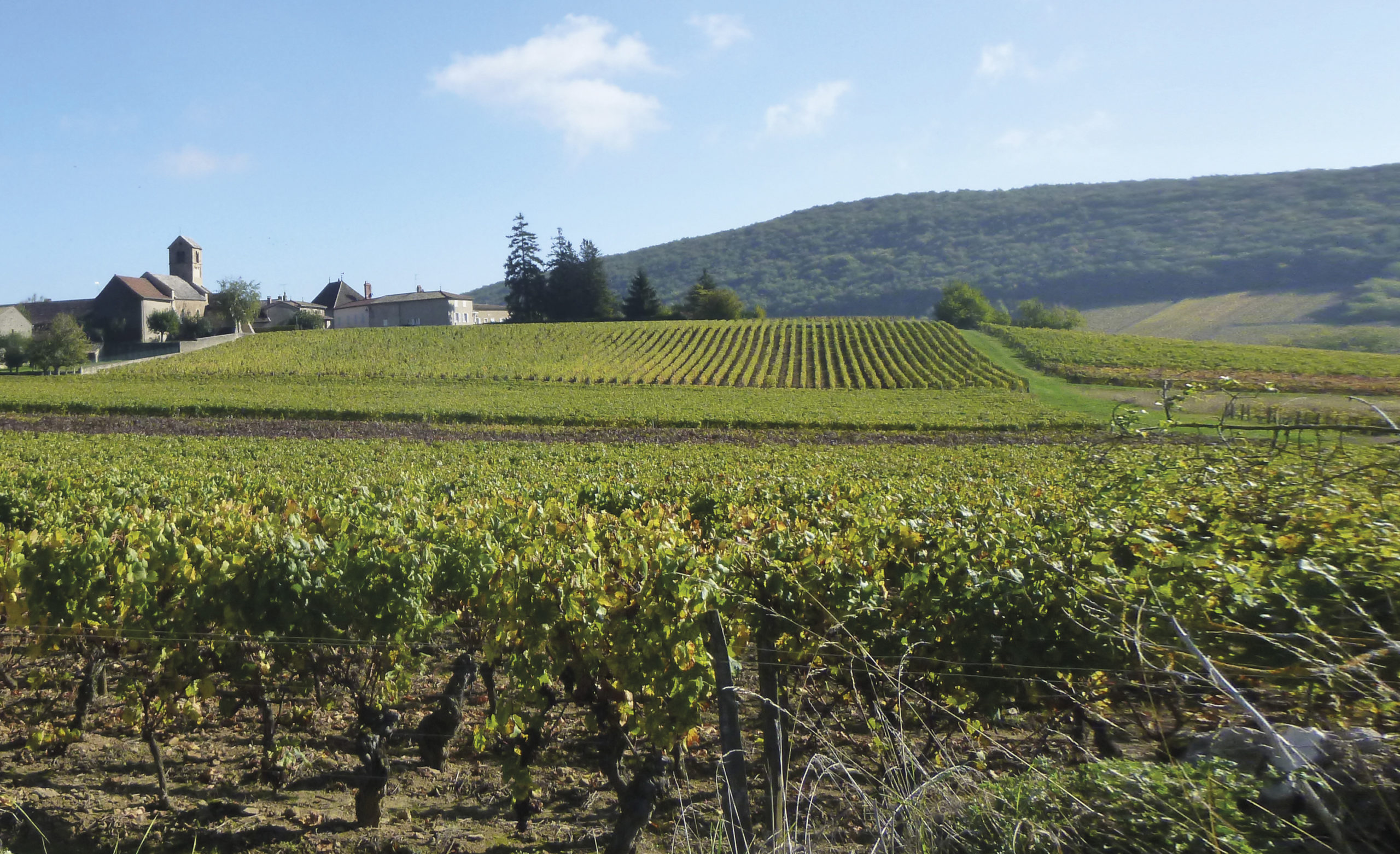 lesvigneronsdige_fondchapelle
